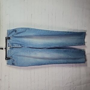 Faded Glory Woman Relaxed Fit 18W Denim Jeans
